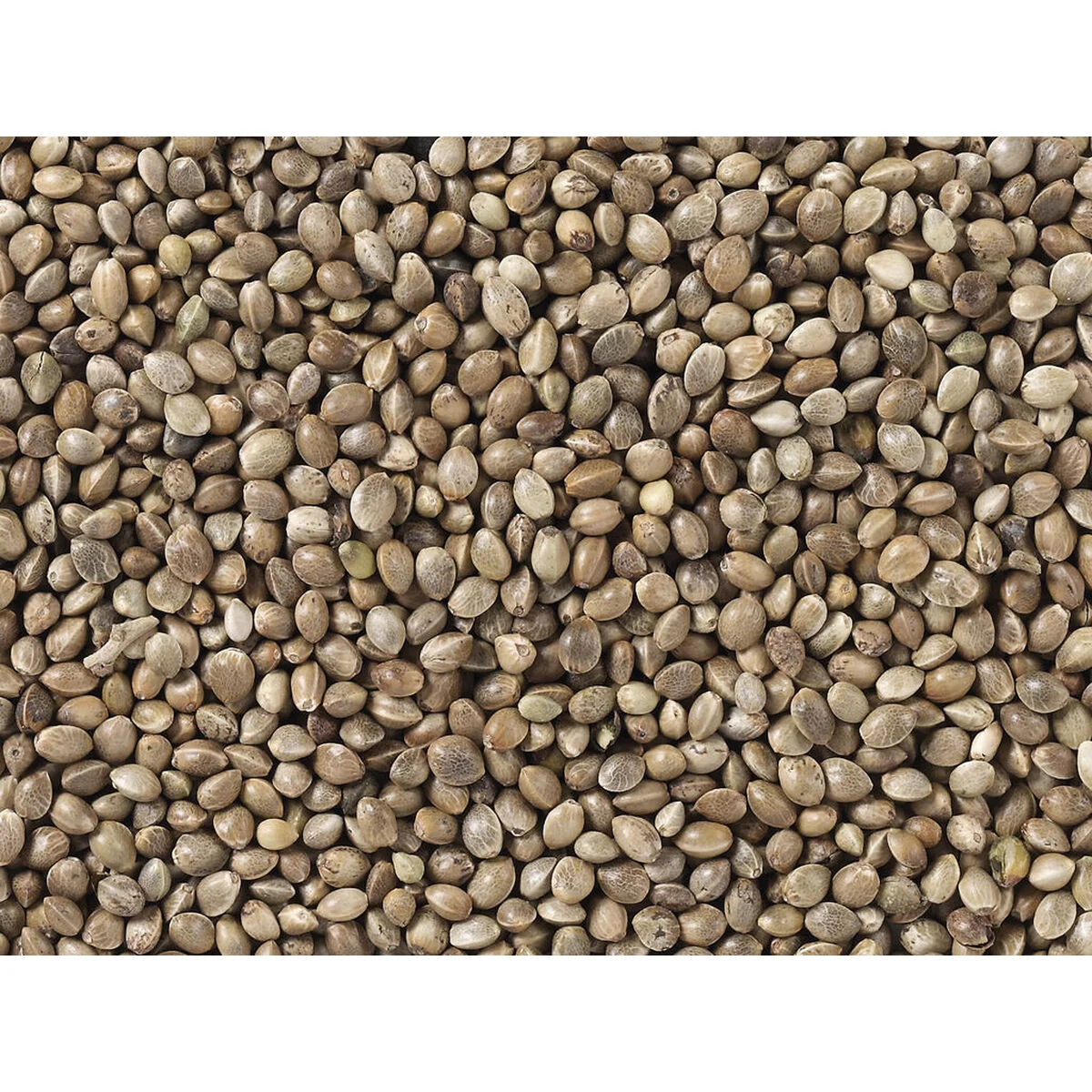 Comida para pájaros Deli Nature Premium