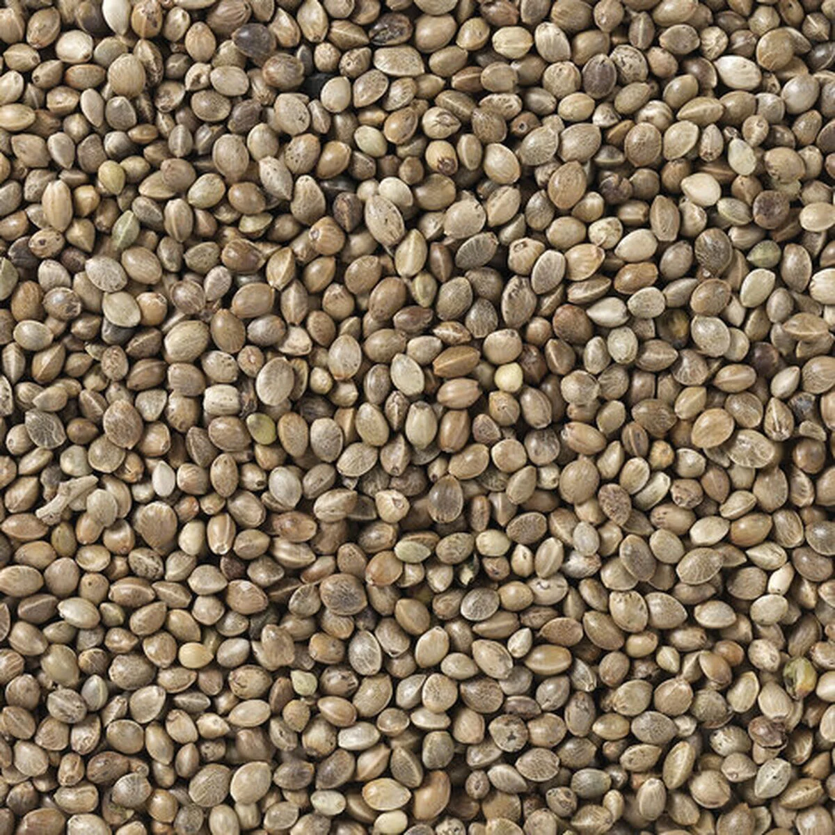 Comida para pájaros Deli Nature Premium