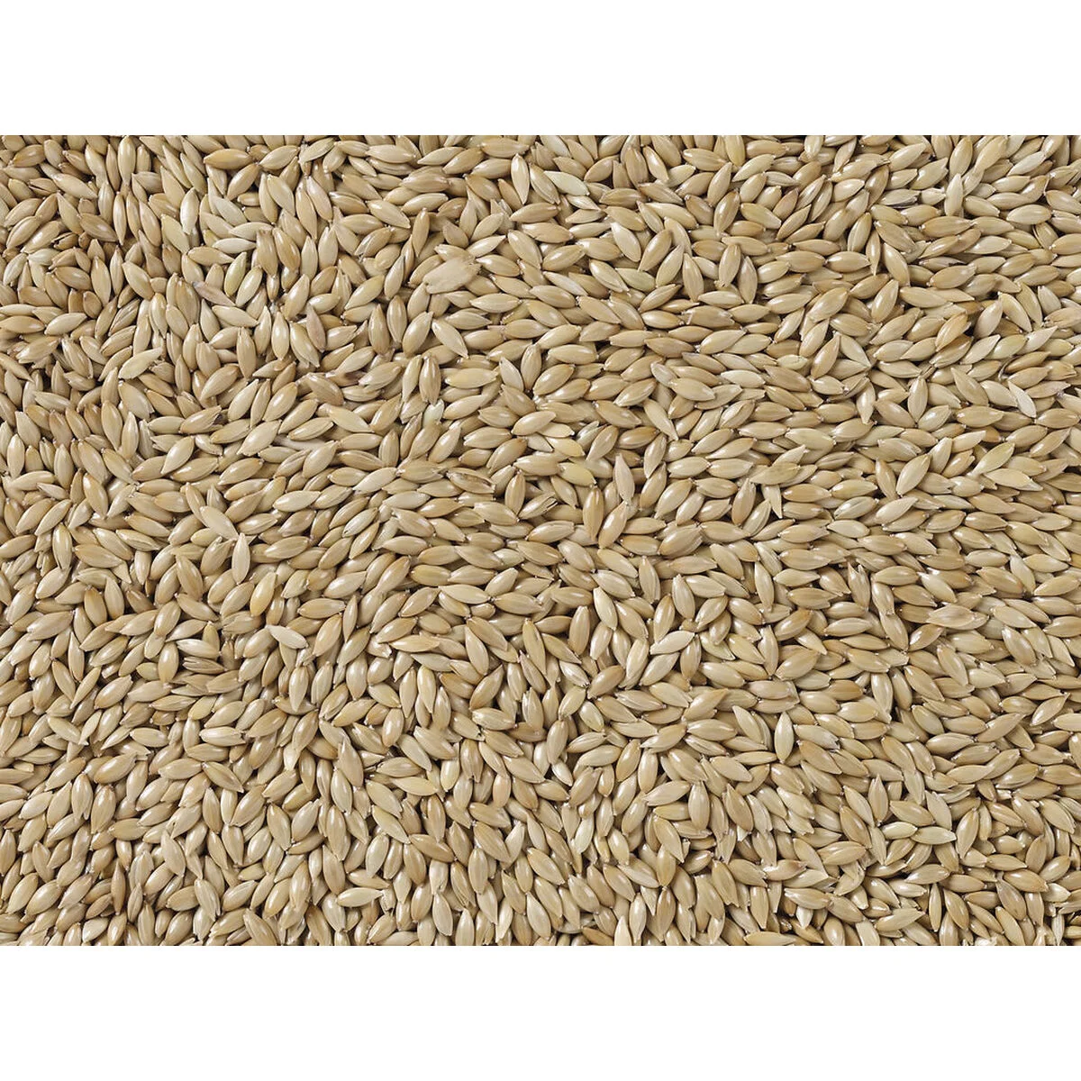 Comida para pájaros Deli Nature Premium 5 kg