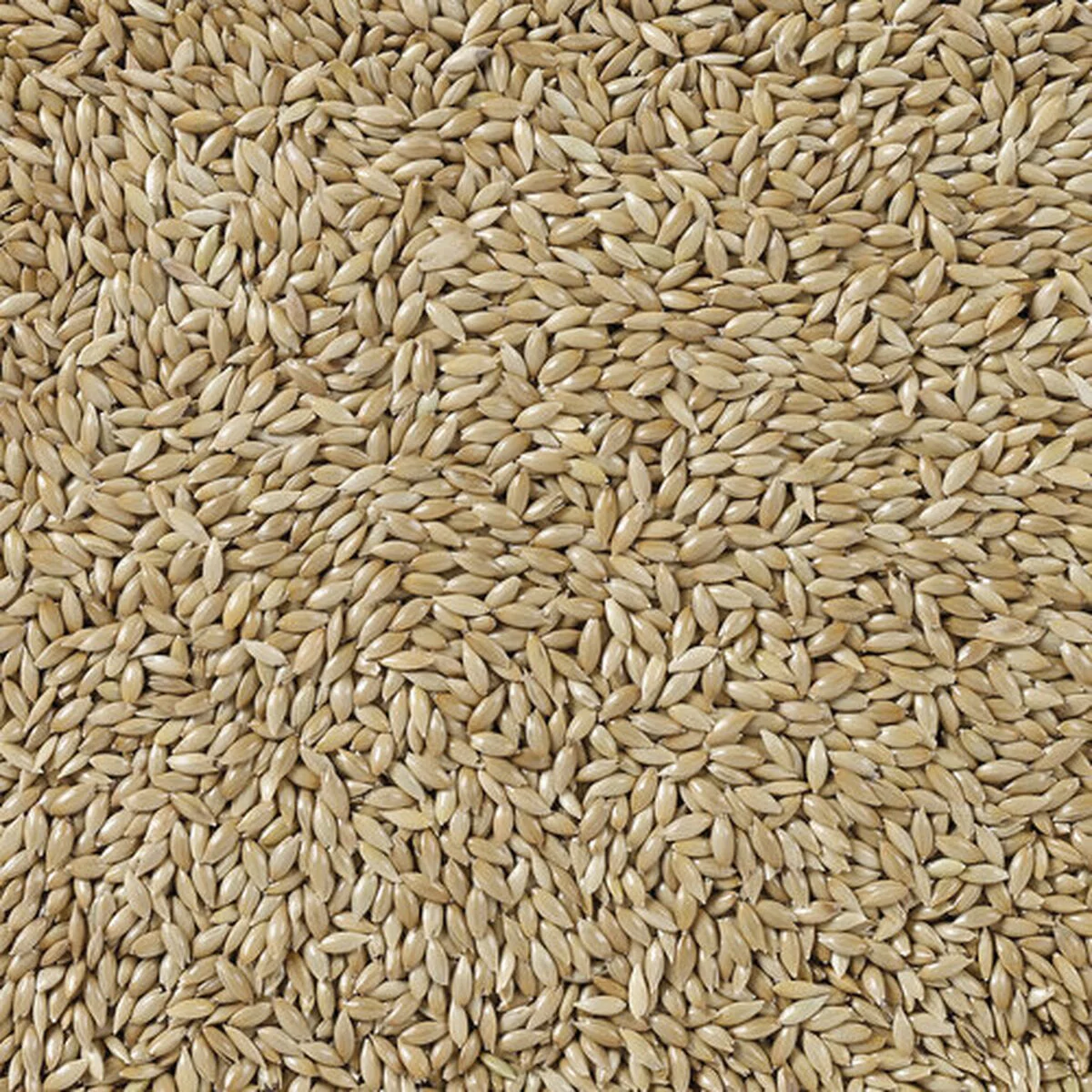 Comida para pájaros Deli Nature Premium 5 kg