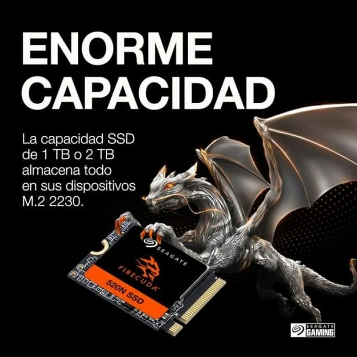 Disco Duro Seagate ZP2048GV3A002 2 TB SSD