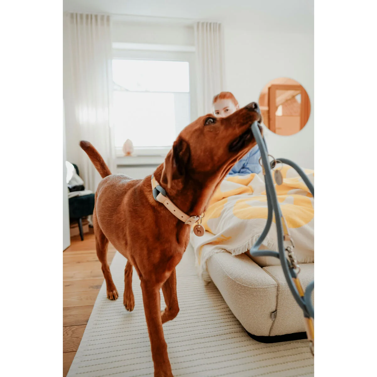 Correa para Perro Hunter MALIA Azul 1 x 200 cm