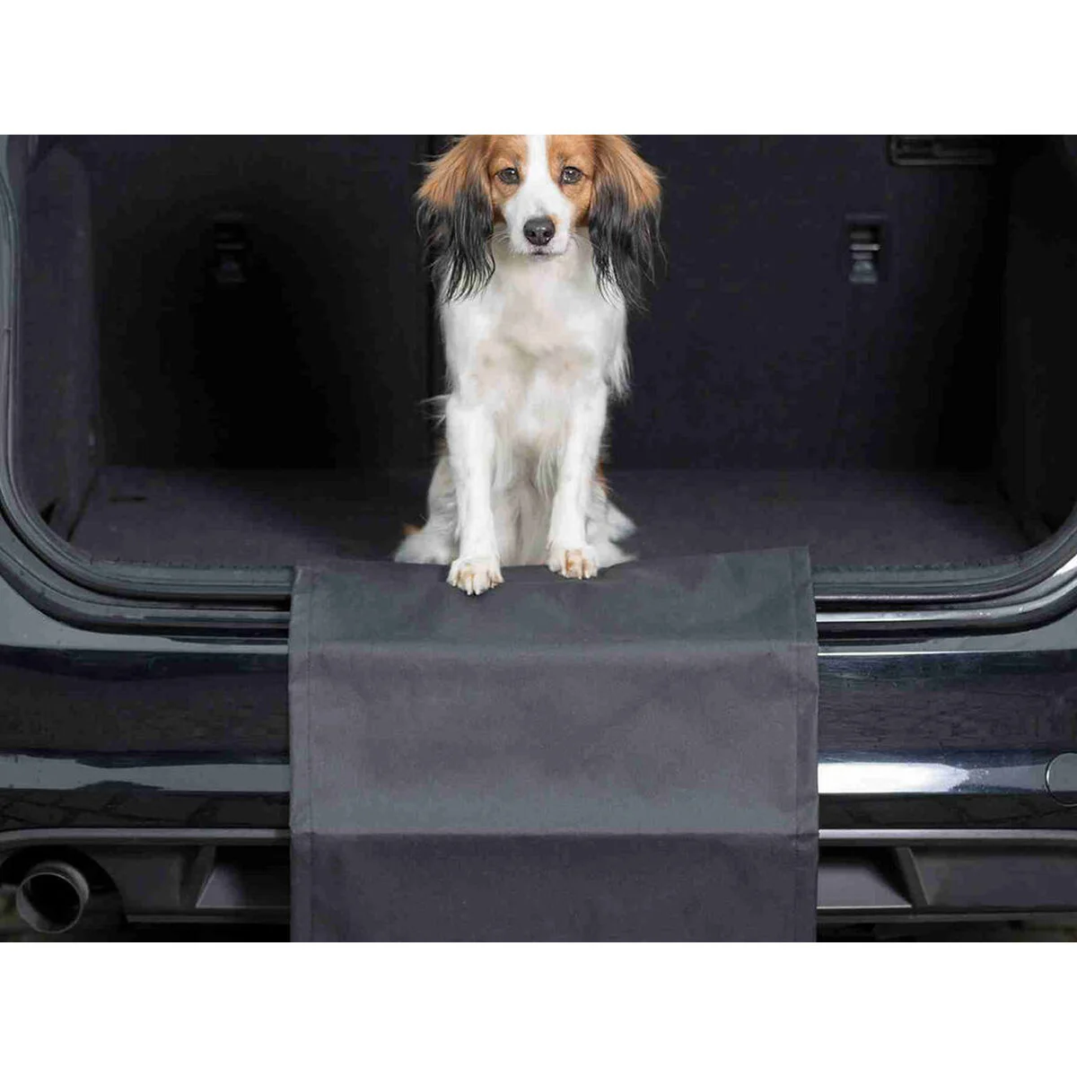 Funda Protectora de Coche para Mascotas Trixie Negro 50 × 70 cm