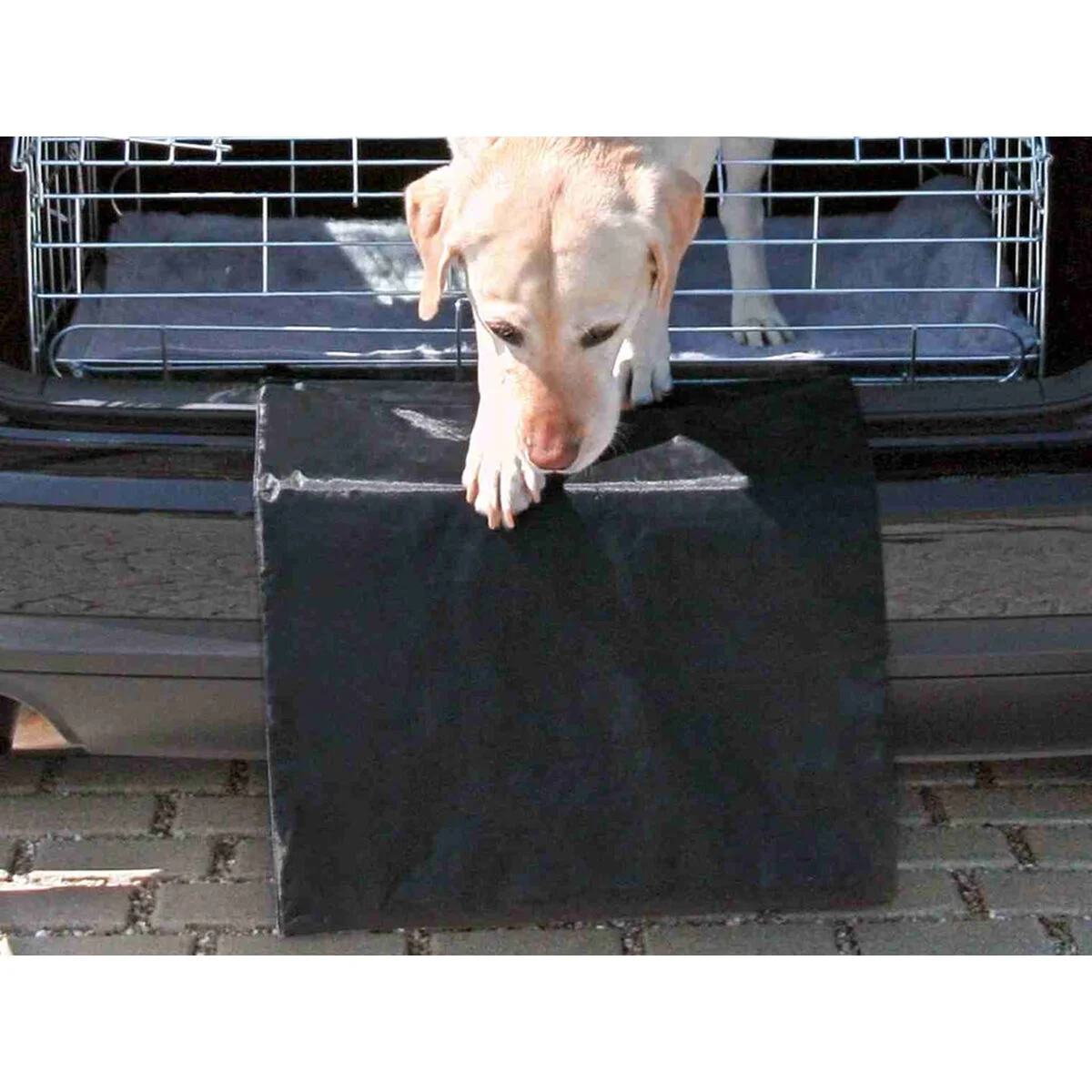 Funda Protectora de Coche para Mascotas Trixie Negro 50 × 70 cm