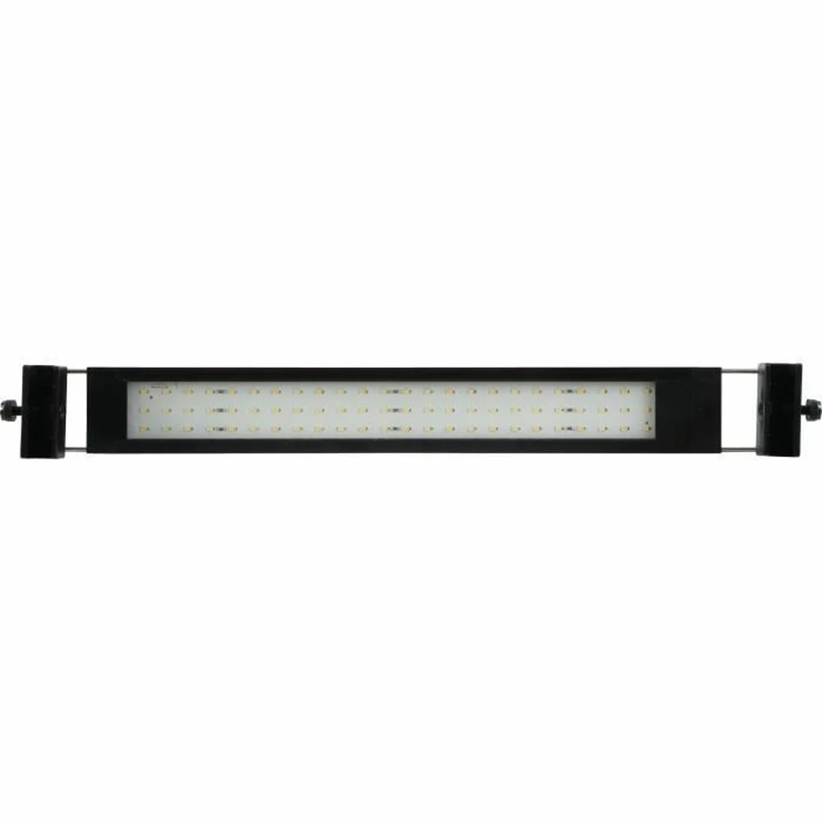 Tiras LED Zolux 300 cm Blanco Frío