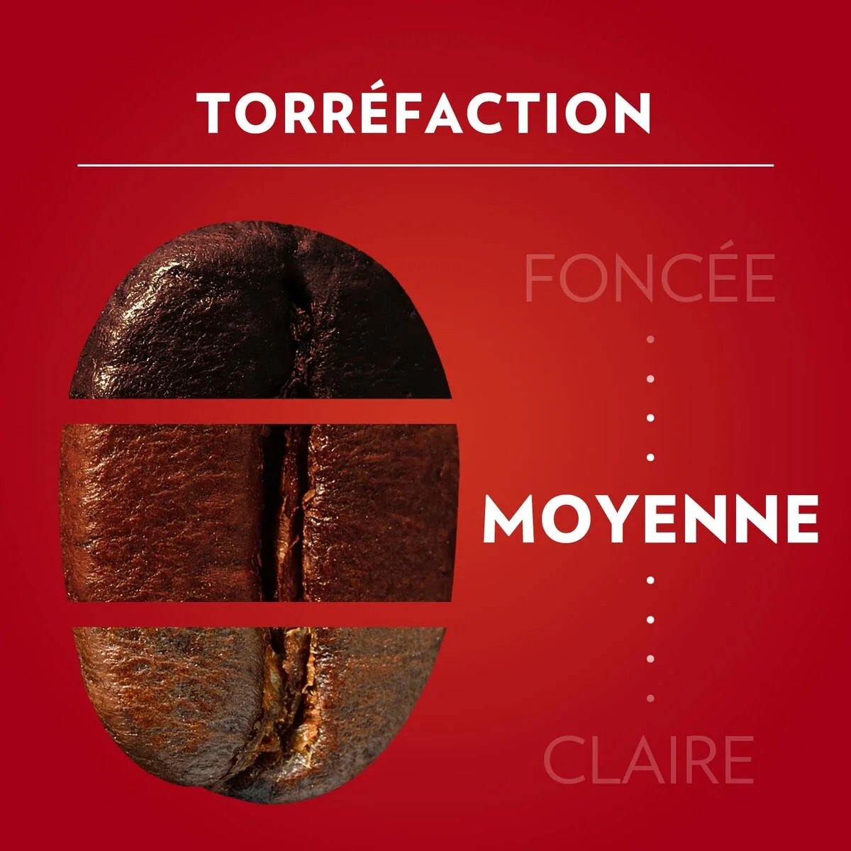 Café en Grano Lavazza 2013