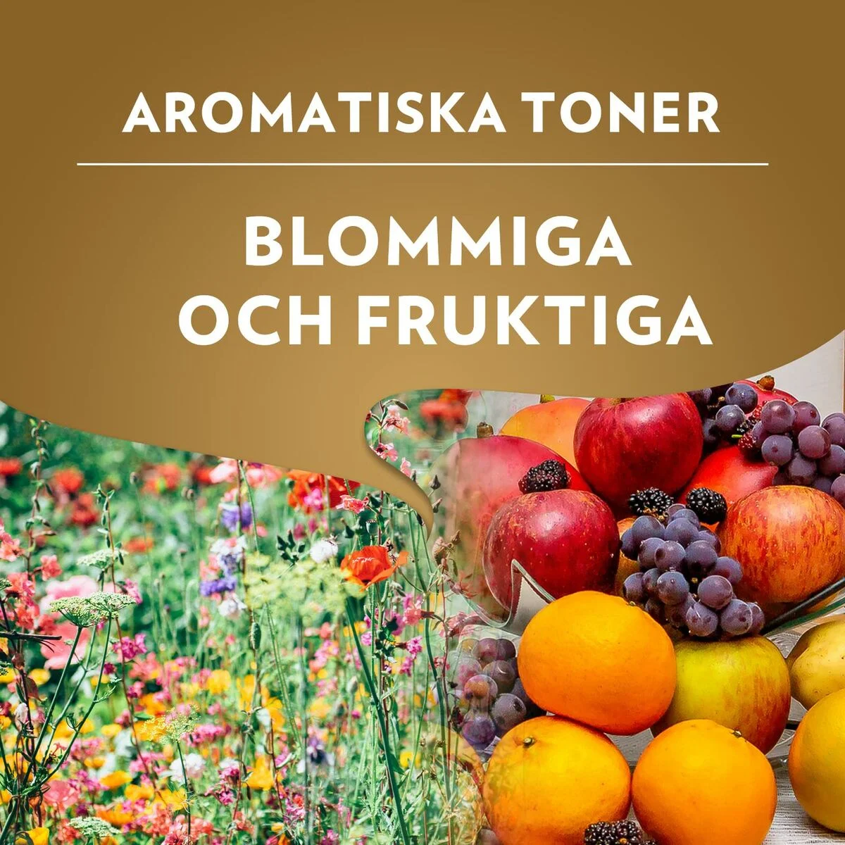 Café en Grano Lavazza Qualità Oro 1kg