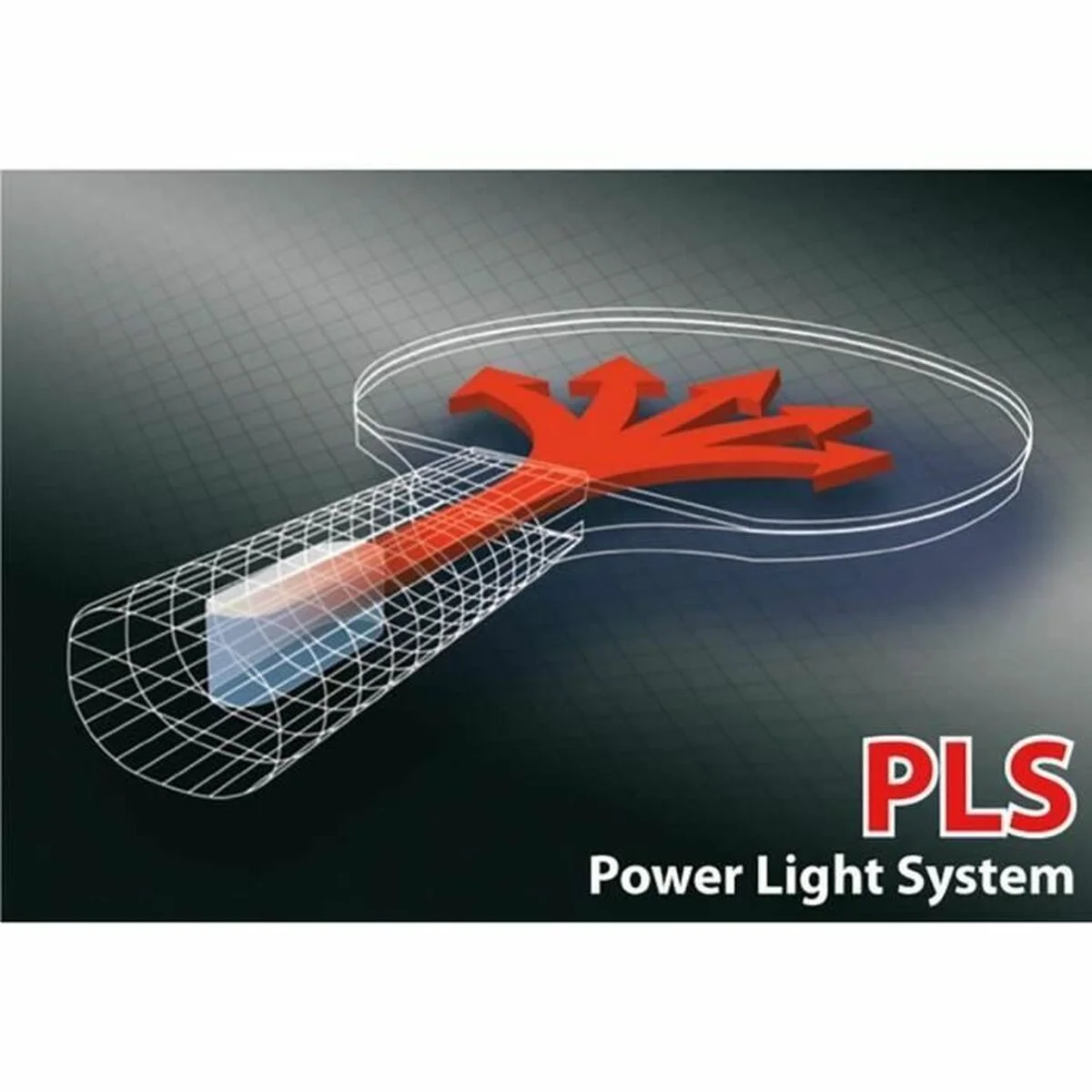 Raqueta de Ping Pong Schildkröt