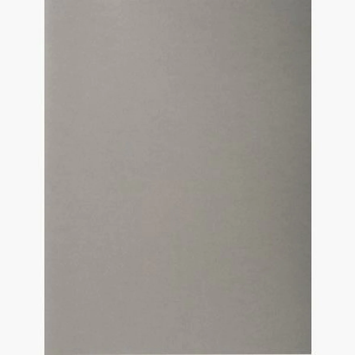 Set de Subcarpetas Exacompta Gris A4 100 Piezas (5 Unidades)