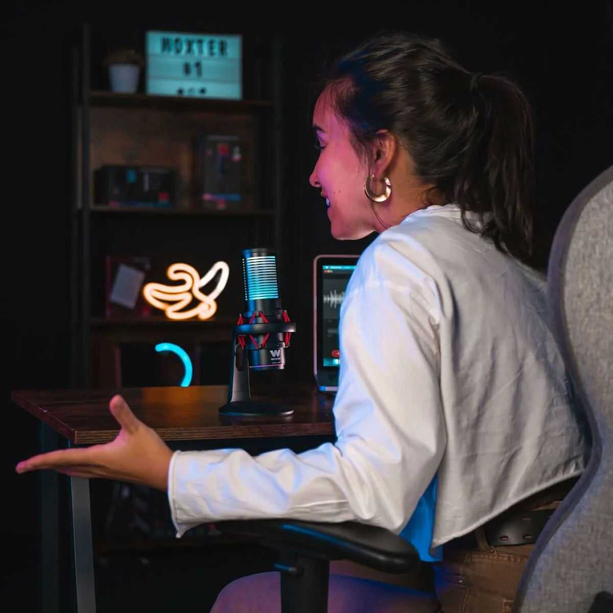 Micrófono Woxter WE26-029