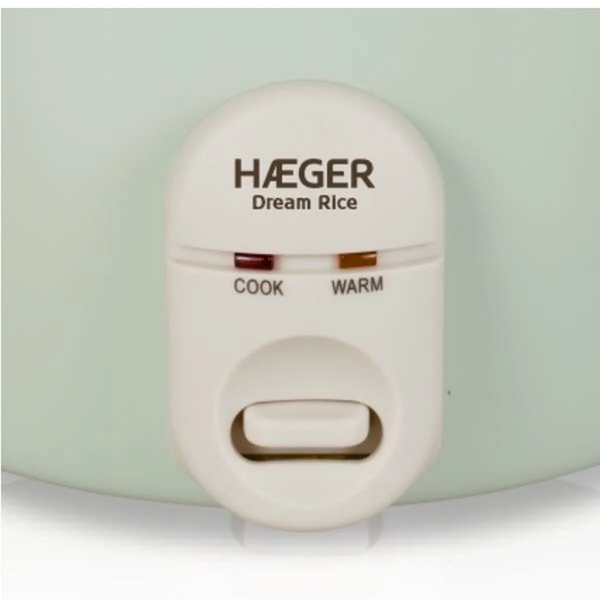 Arrocera Haeger RC-18L.002A Verde Acero Inoxidable Plástico 50 W