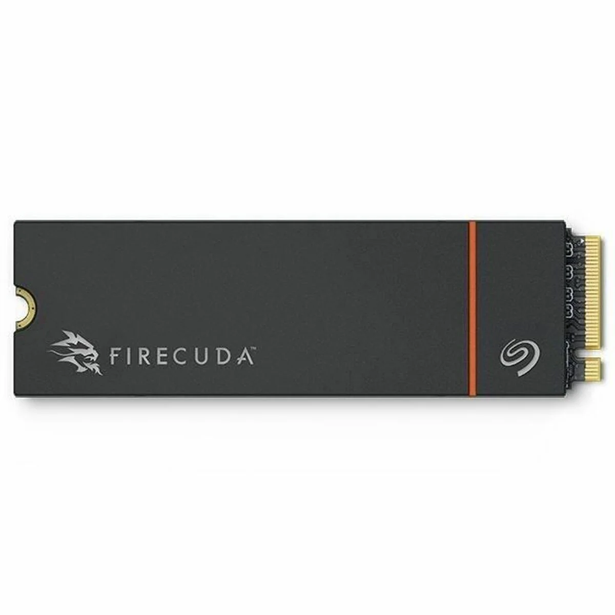 Disco Duro Seagate ZP1000GM3A073 1 TB SSD