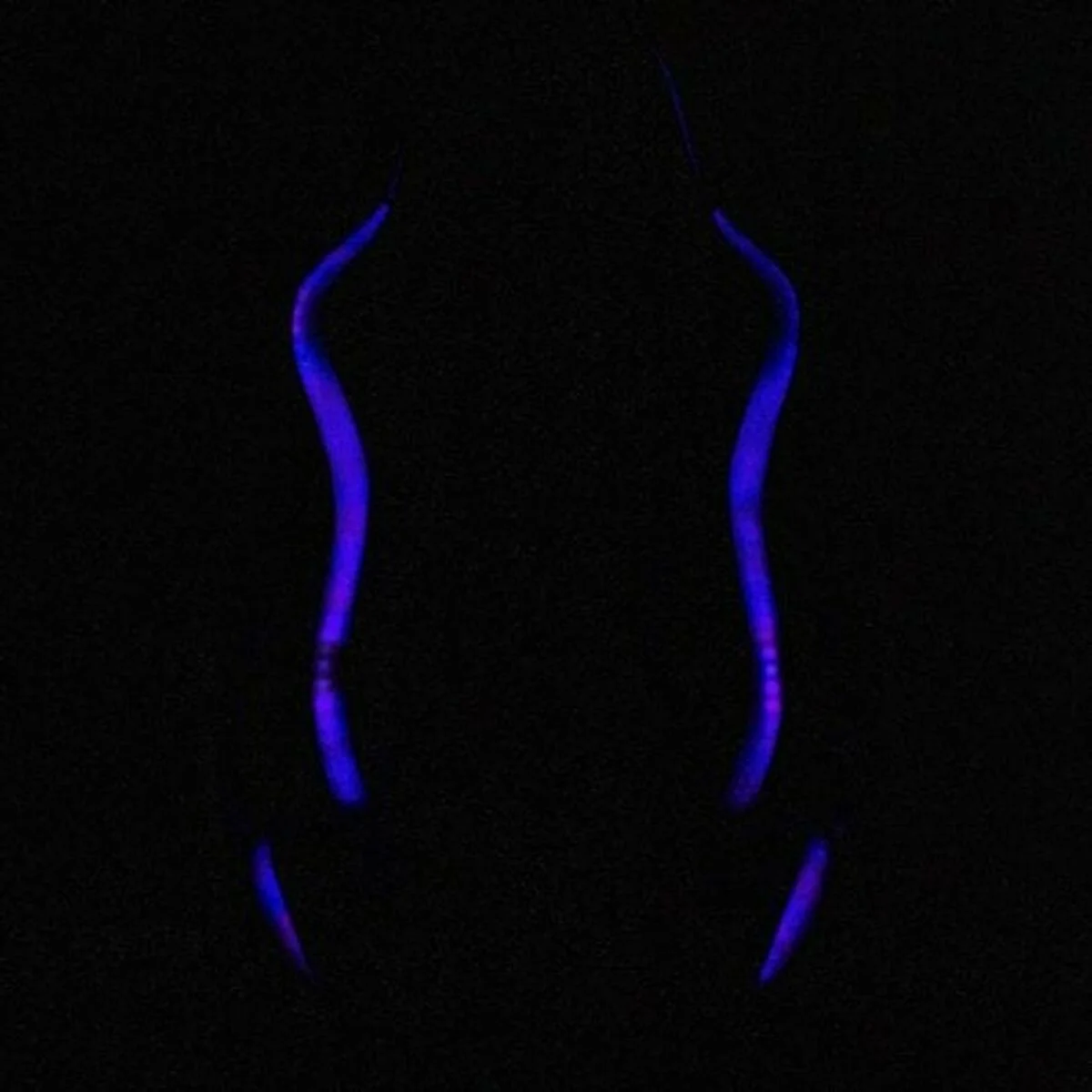 Silla Gaming Woxter GM26-068 Negro RGB