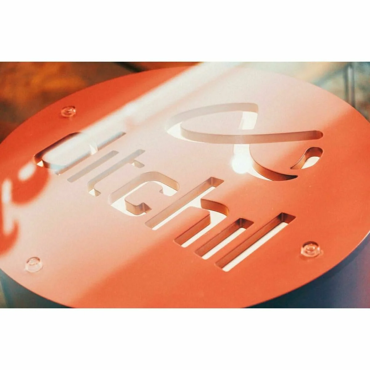 Sujetador Deportivo Ditchil Sports Fire