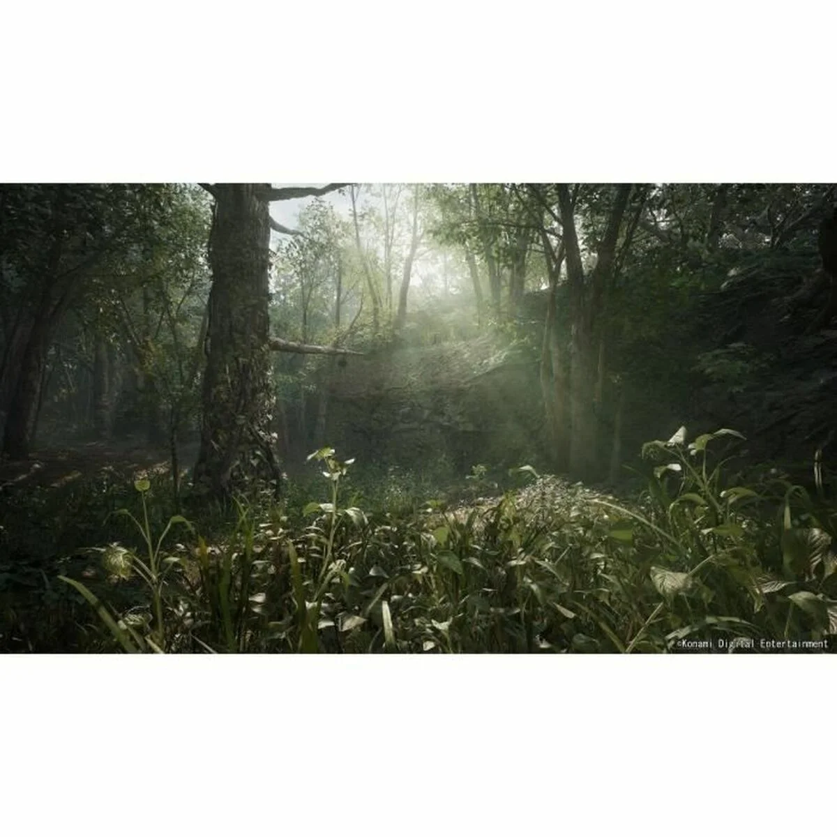 Videojuego PlayStation 5 Just For Games