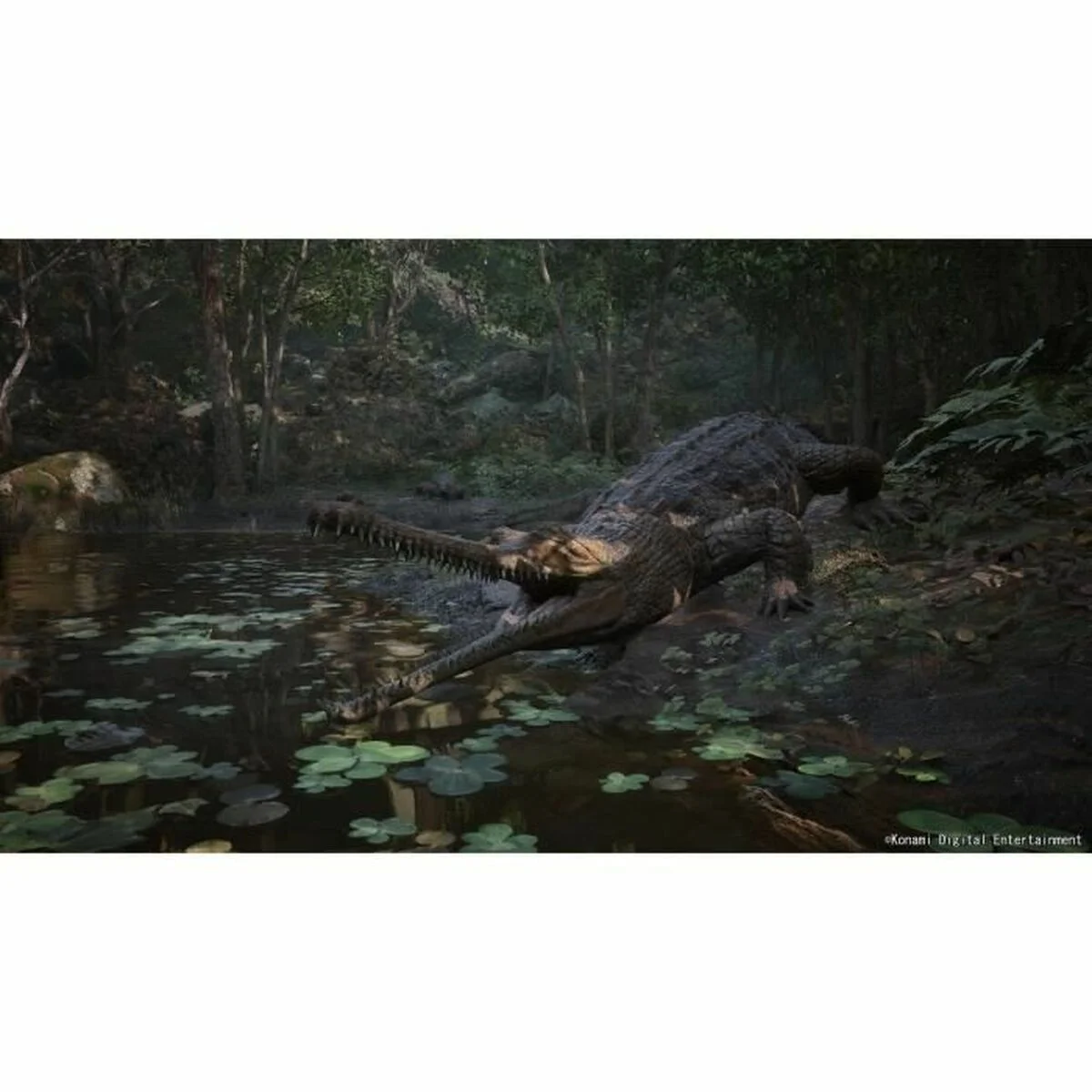 Videojuego PlayStation 5 Just For Games