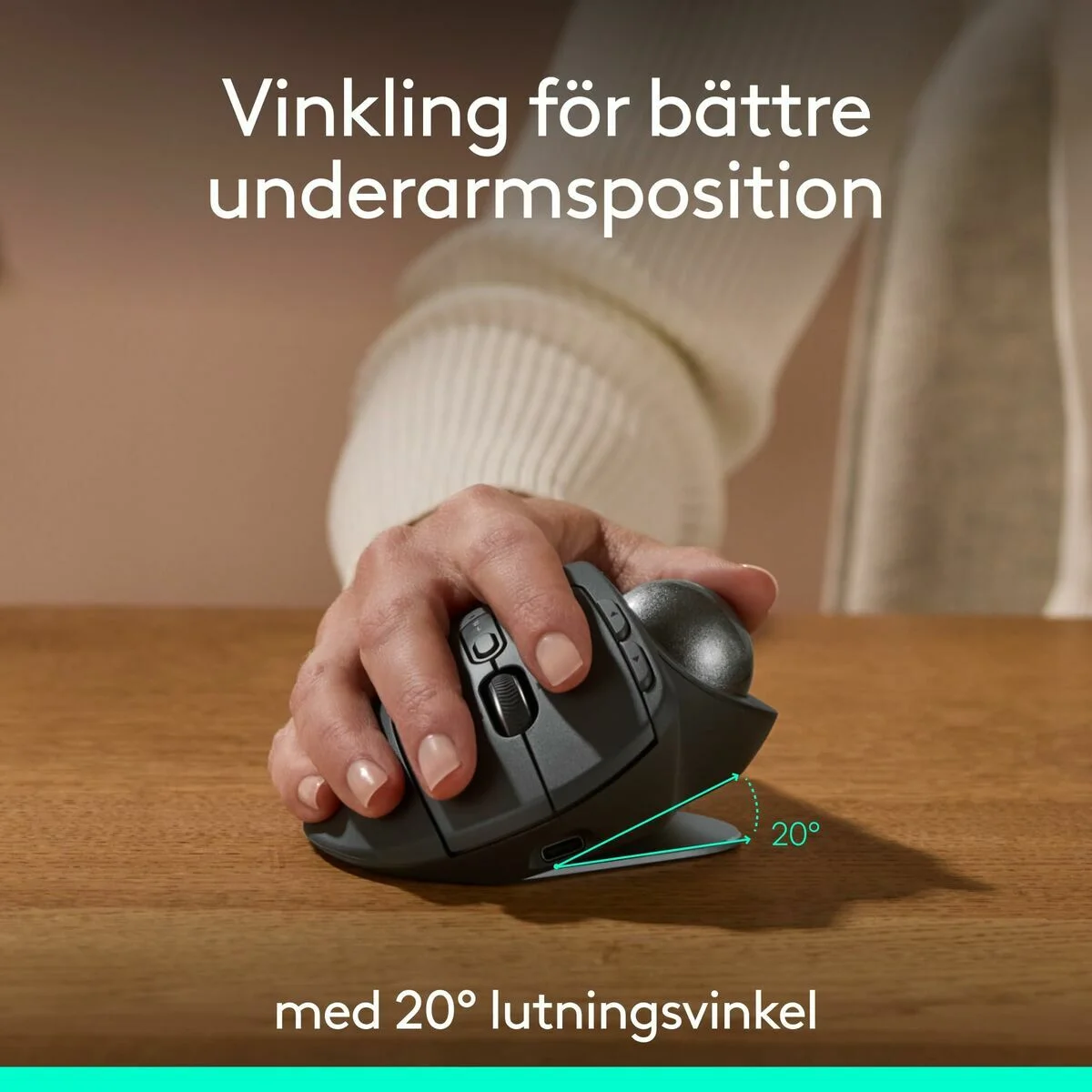 Ratón Logitech 910-007260 Grafito Acero