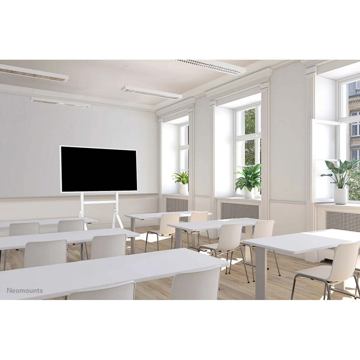 Soporte de Mesa para Pantalla Neomounts FL50-515WH1 55" 65"