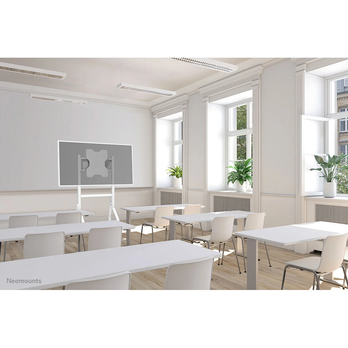 Soporte de Mesa para Pantalla Neomounts FL50-515WH1 55" 65"