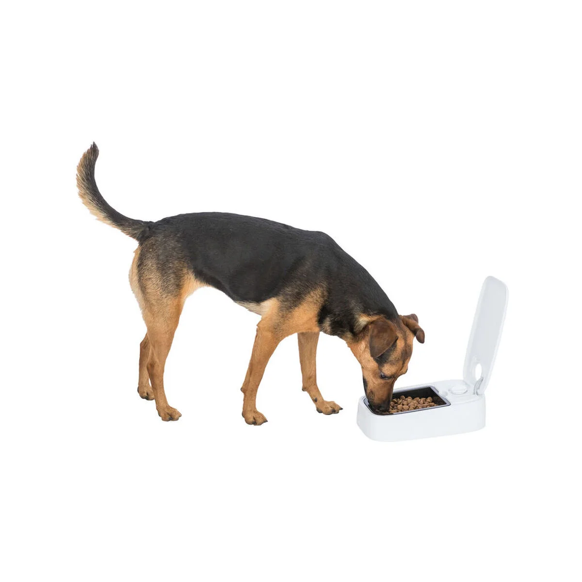Comedero para Mascotas Trixie Blanco Negro Plástico 300 ml