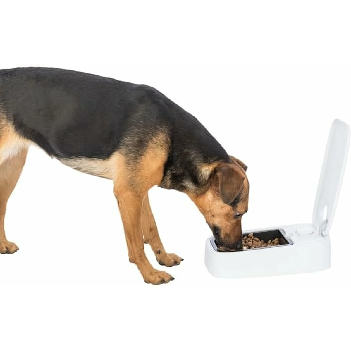 Comedero para Mascotas Trixie Blanco Negro Plástico 300 ml