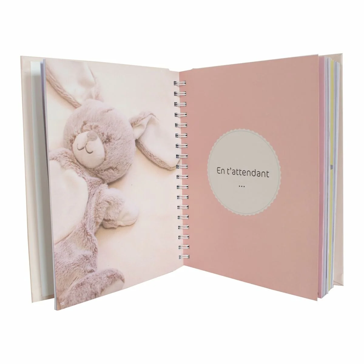 Álbum Domiva Mes 5 premieres annees