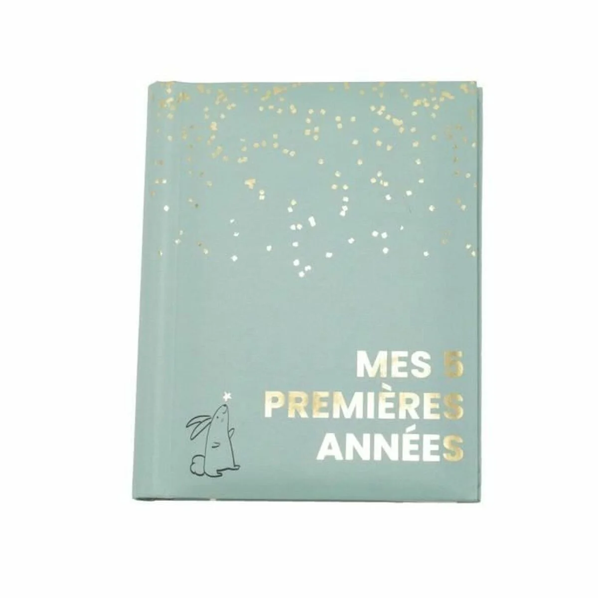 Álbum Domiva Mes 5 premieres annees