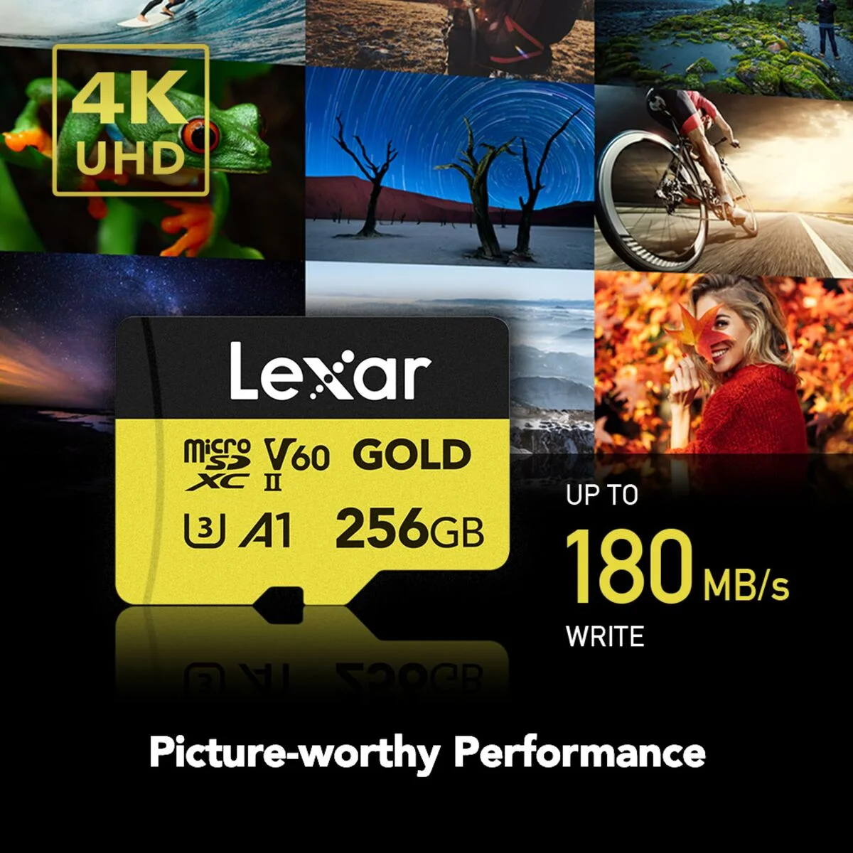 Tarjeta de Memoria SD Lexar LMSGOLD256G-BNNNG 256 GB
