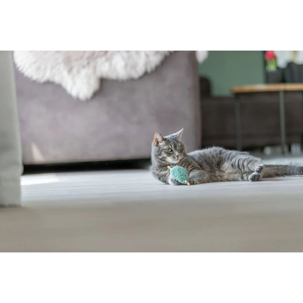 Juguete para gatos Trixie Corazón