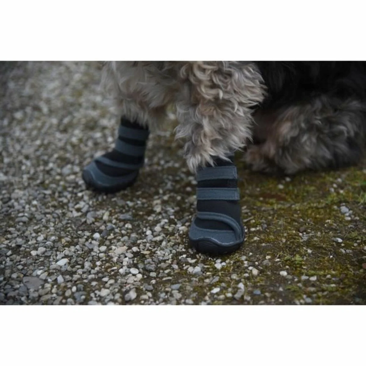 Zapatos para perros Kerbl Negro Gris S