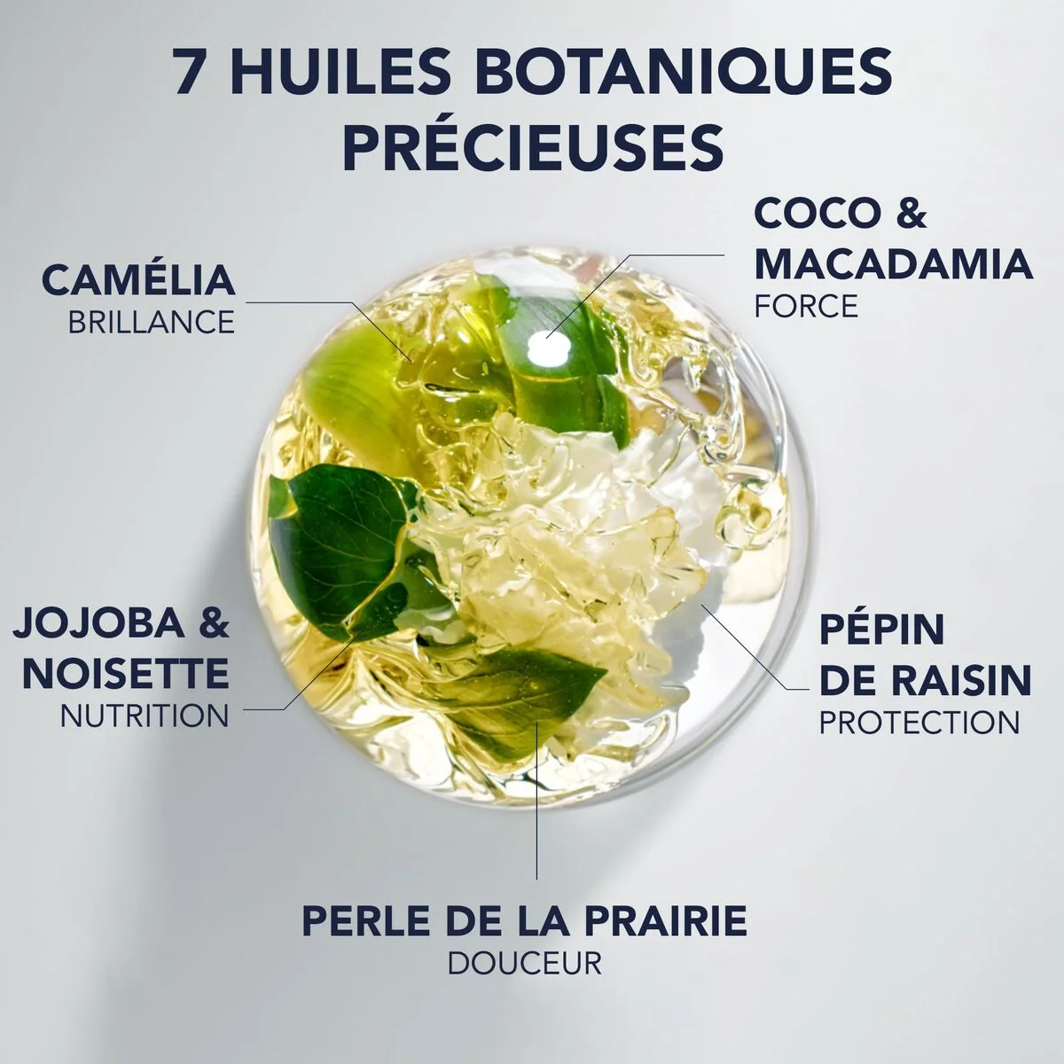 Complemento Alimenticio Phyto Paris NUTRITION 100 ml