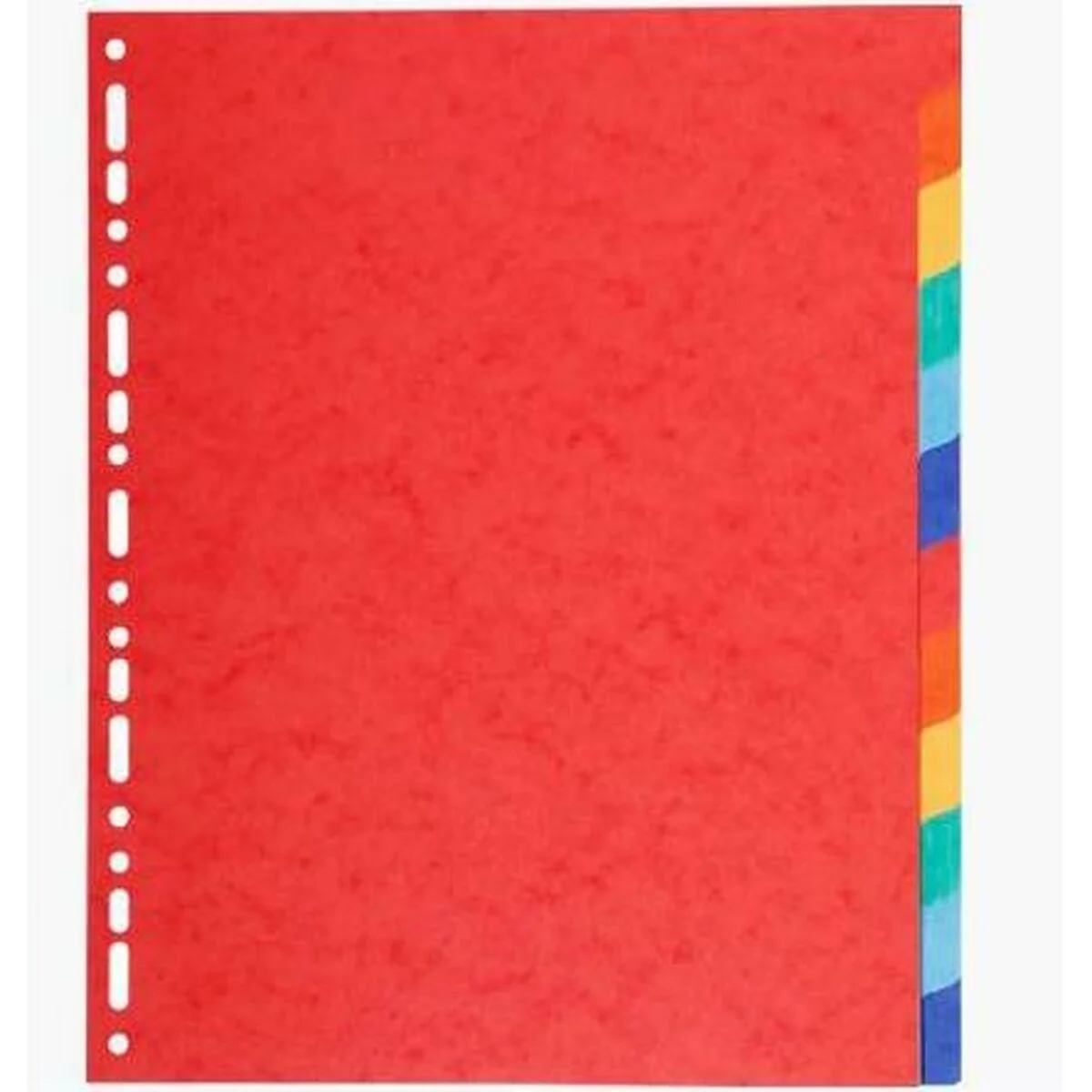 Separadores Exacompta Maxi Multicolor A4+ 12 Hojas (25 Unidades)