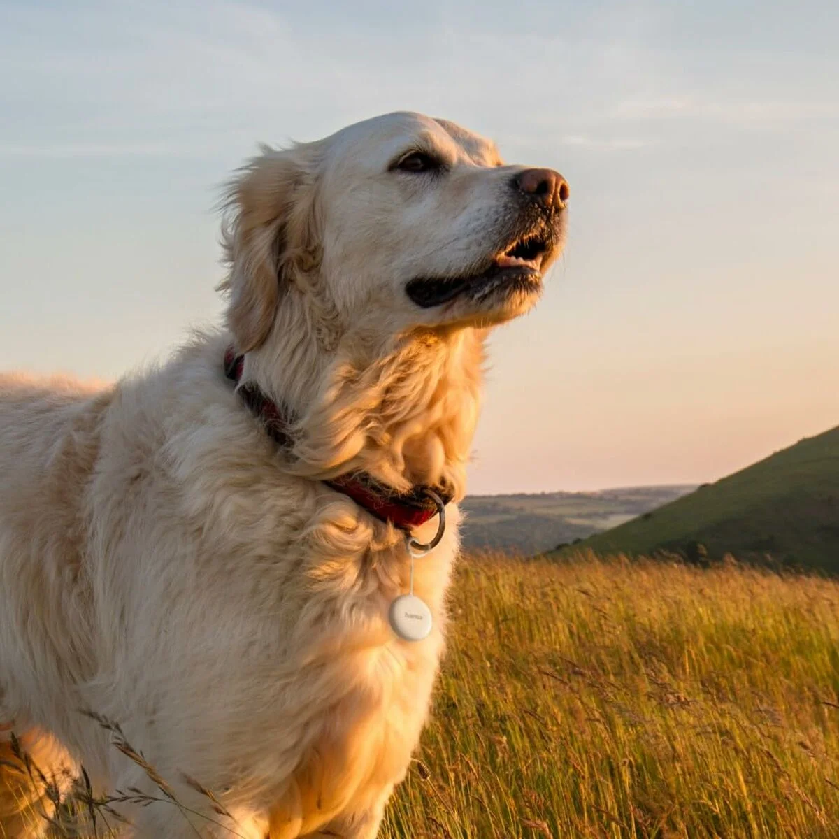 Cable USB Hama 00185825 Blanco