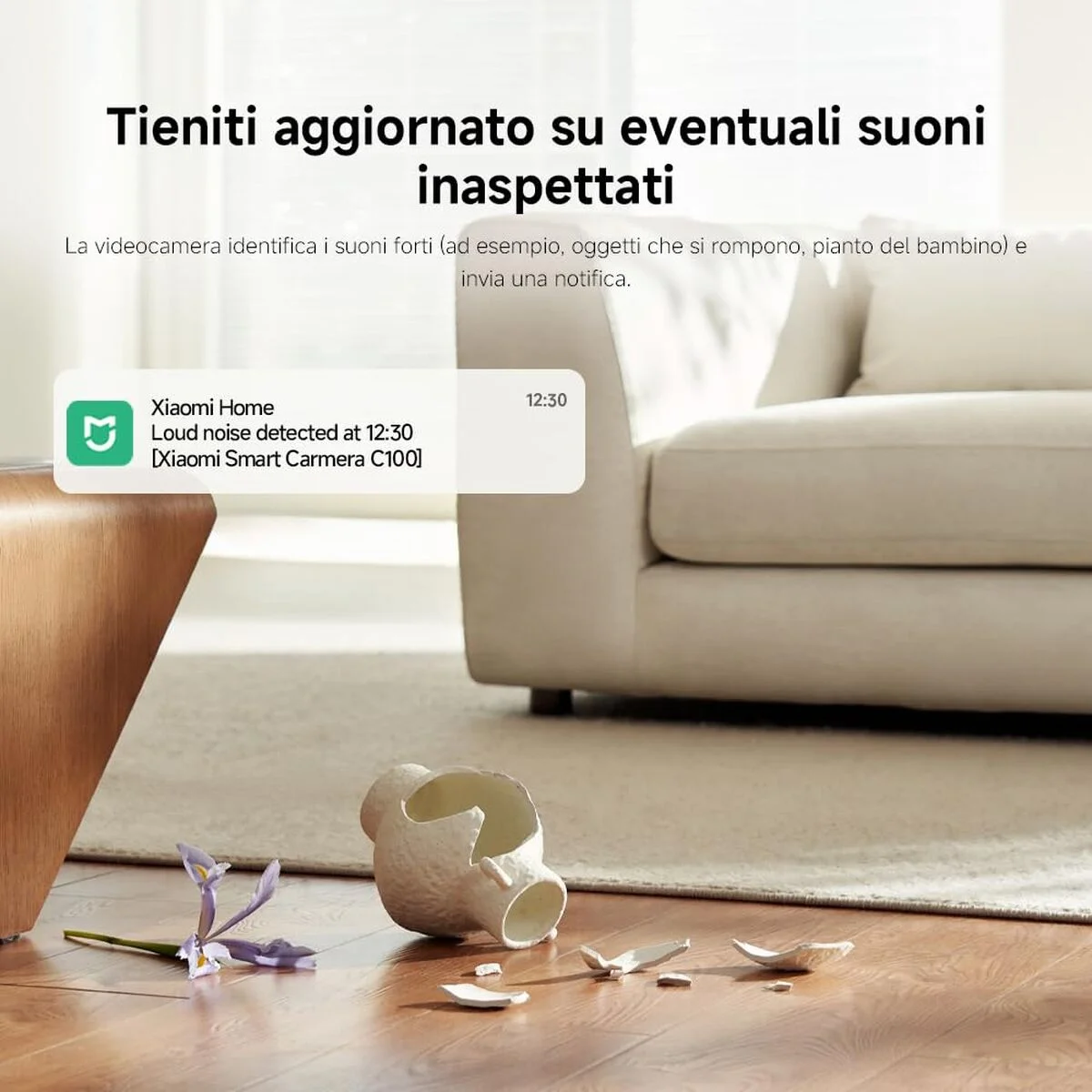 Videocámara de Vigilancia Xiaomi BHR07VOGL