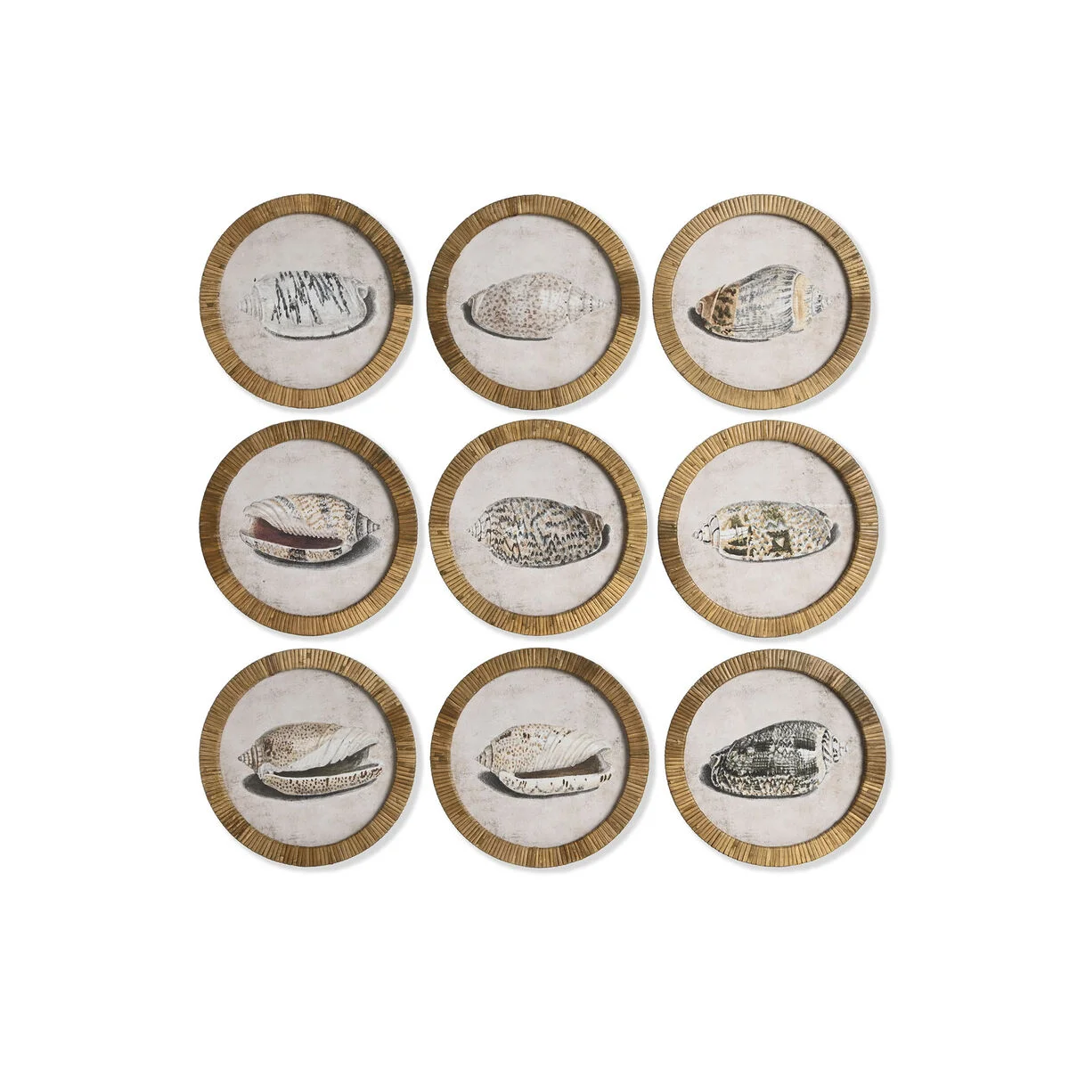 Cuadro Home ESPRIT Natural Mediterráneo Caracola 30 x 2 x 30 cm (9 Unidades)