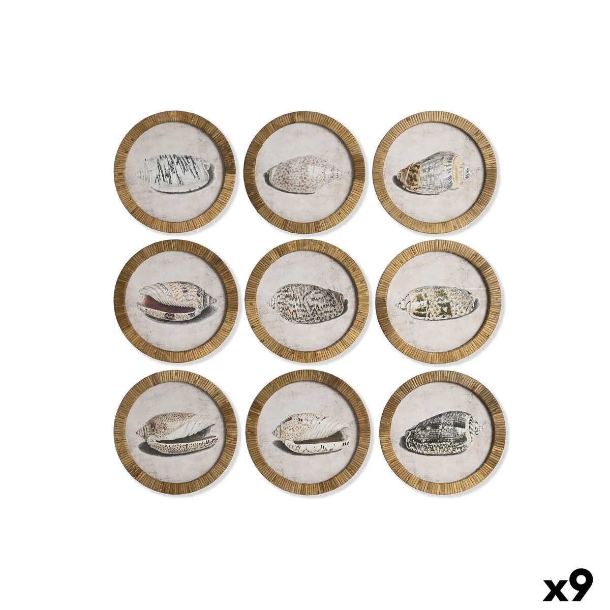 Cuadro Home ESPRIT Natural Mediterráneo Caracola 30 x 2 x 30 cm (9 Unidades)