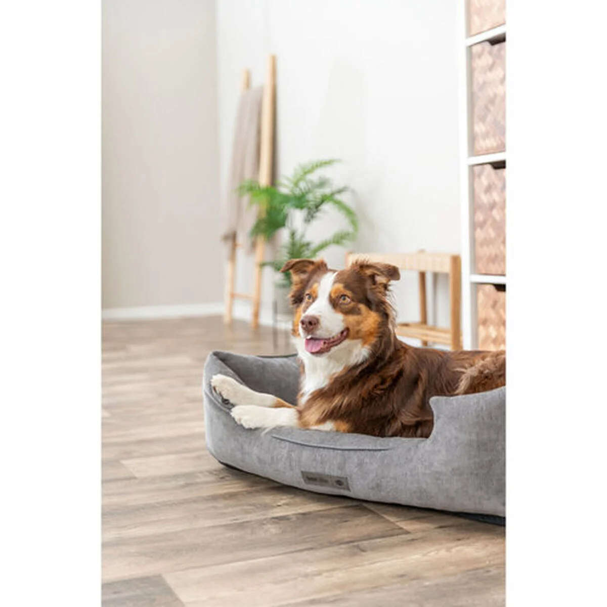 Cama para Perro Trixie Vital Lennox Gris 100 x 70 cm