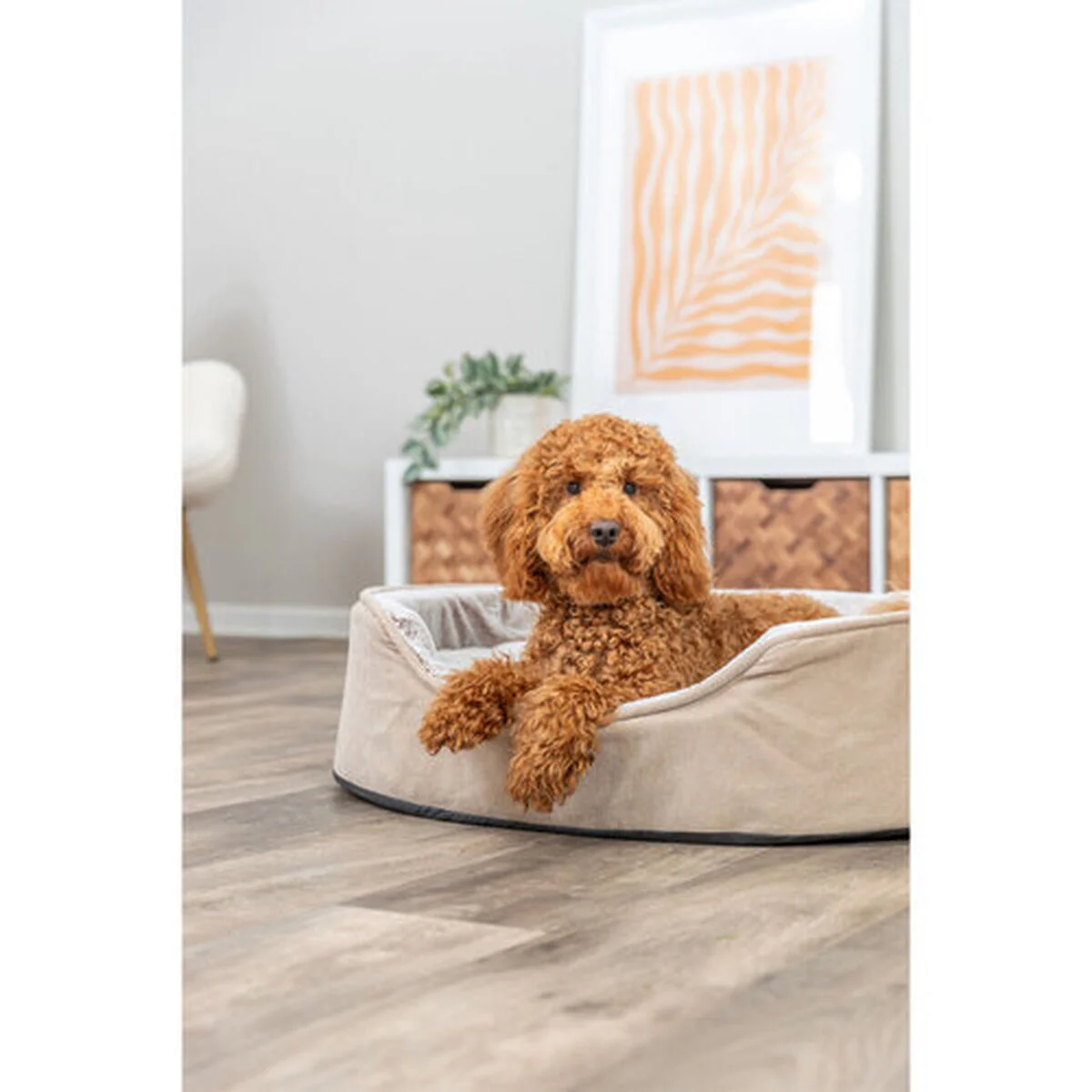 Cama para Perro Trixie Vital Lino Soft Beige Crema 60 x 45 cm