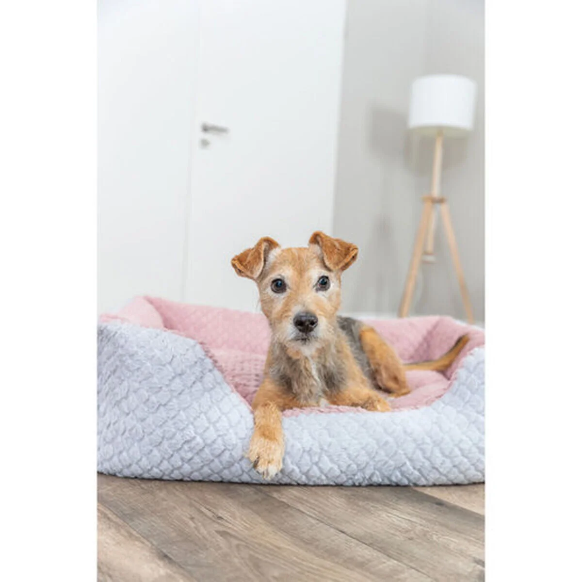 Cama para Perro Trixie Kaline Mio Gris Rosa oscuro 80 x 65 cm