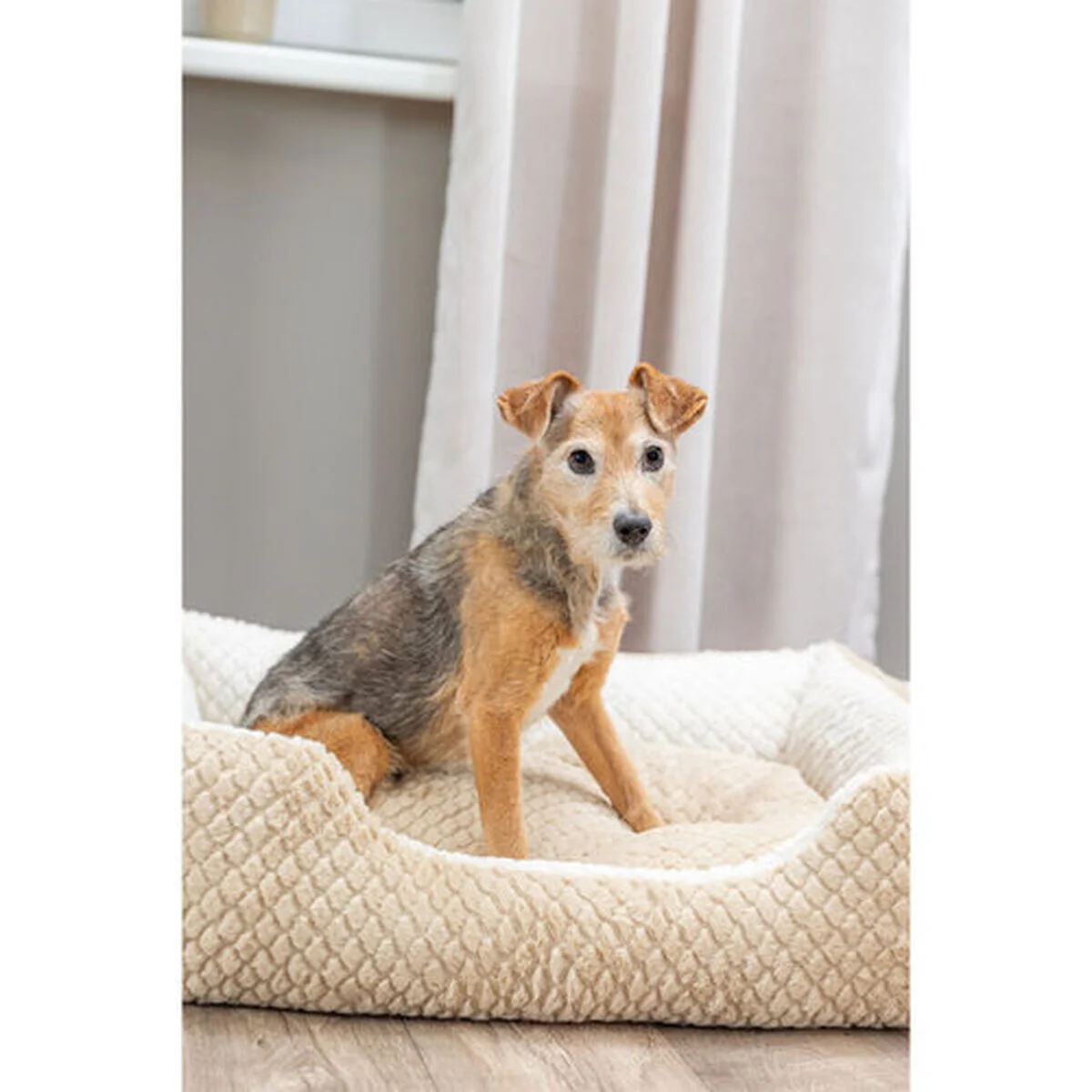 Cama para Perro Trixie Kaline Mio Marrón Crema 80 x 65 cm