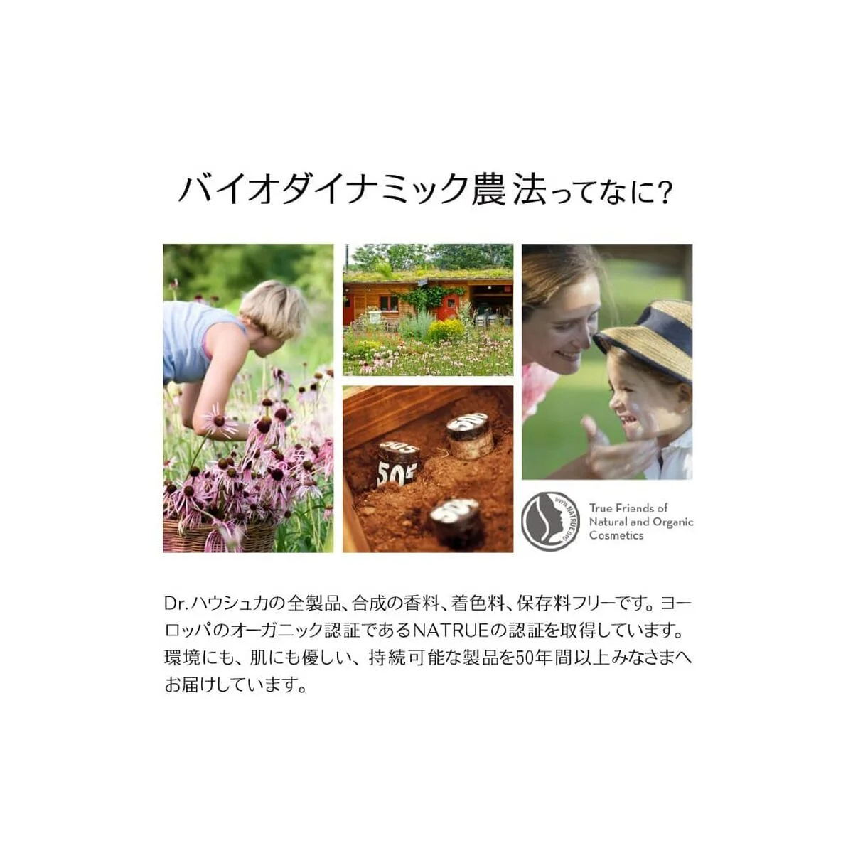 Crema para el Contorno de Ojos Dr. Hauschka 15 ml