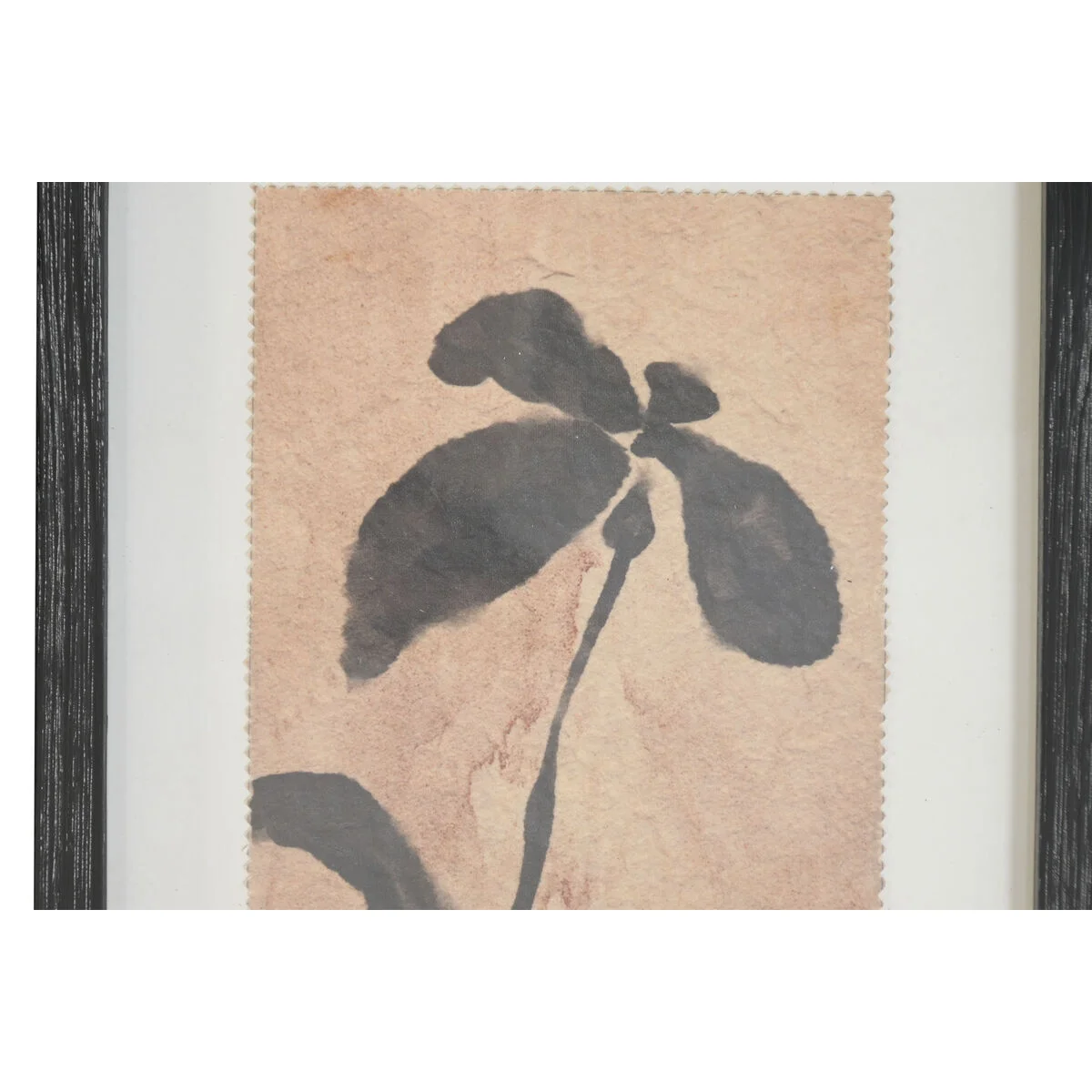 Cuadro Home ESPRIT Marrón Negro Urbano Plantas botánicas 30 x 2 x 40 cm (9 Unidades)