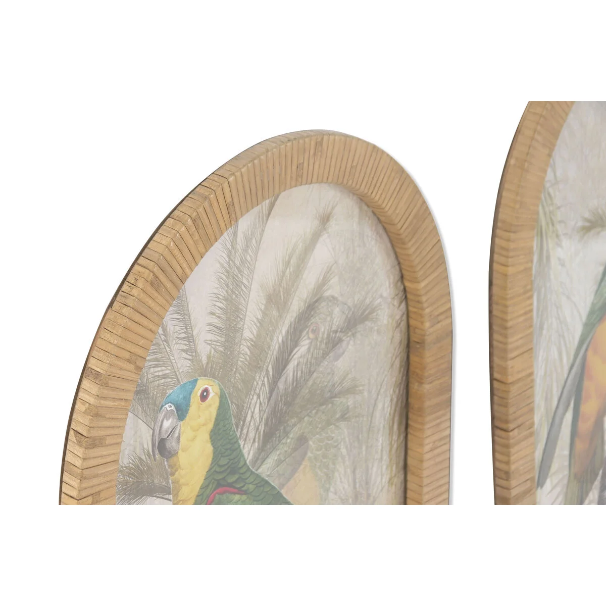 Cuadro Home ESPRIT Verde Natural Loro Tropical 35 X 2,5 X 60 CM (2 Unidades)