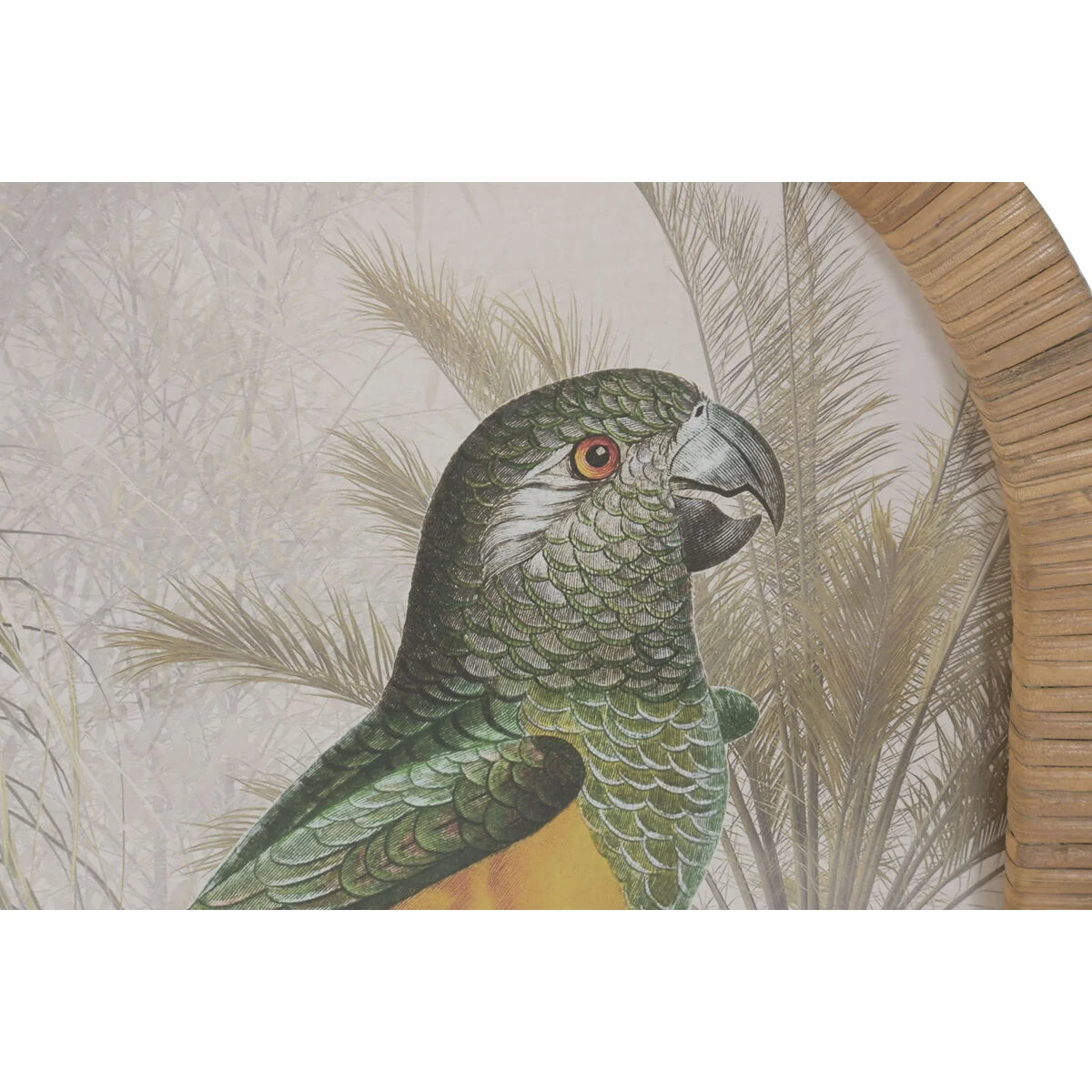 Cuadro Home ESPRIT Verde Natural Loro Tropical 35 X 2,5 X 60 CM (2 Unidades)