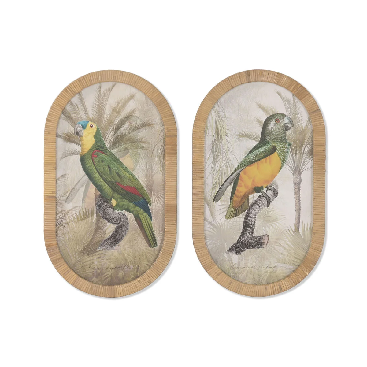 Cuadro Home ESPRIT Verde Natural Loro Tropical 35 X 2,5 X 60 CM (2 Unidades)