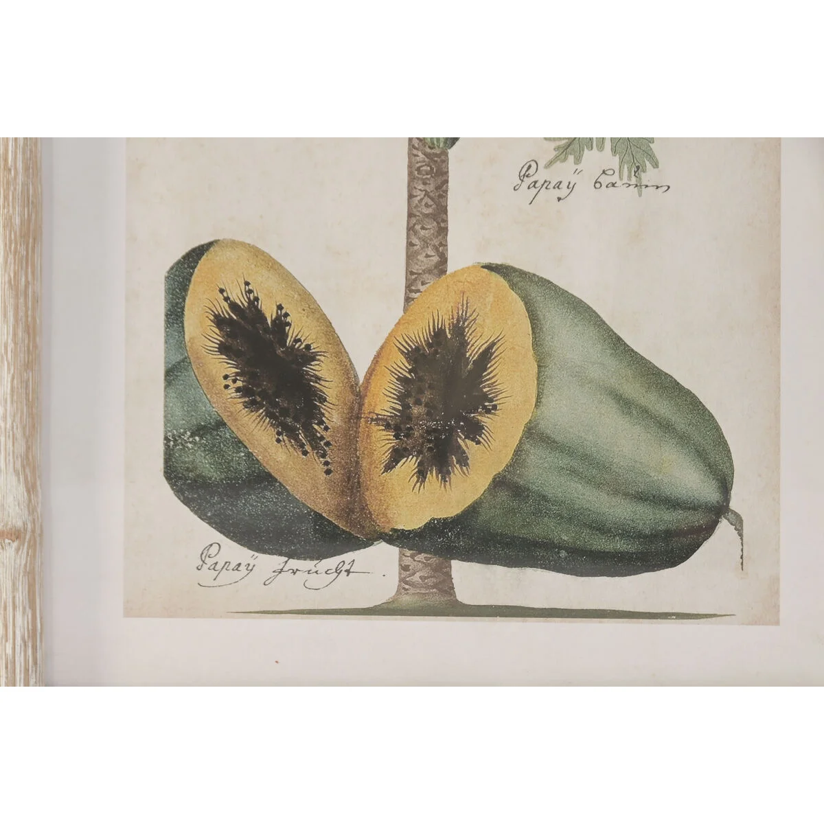 Cuadro Home ESPRIT Verde Beige Tropical 40 x 3,5 x 50 cm (2 Unidades)