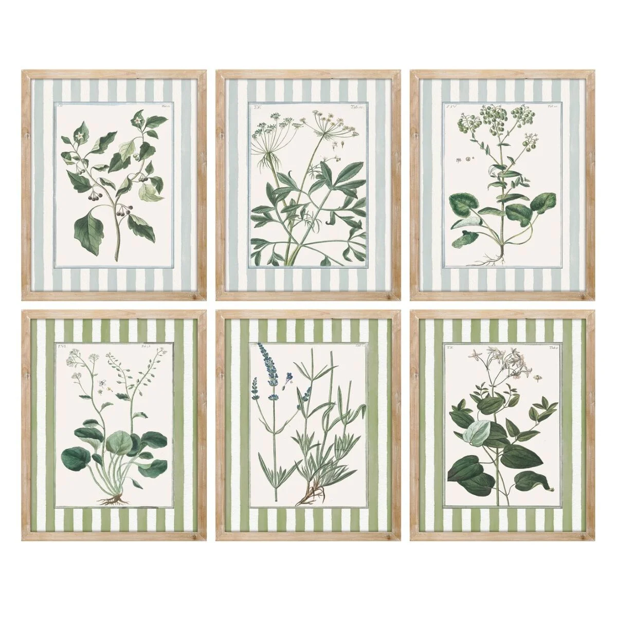Cuadro Home ESPRIT Blanco Verde Shabby Chic Plantas botánicas 30 x 2,5 x 40 cm (6 Unidades)