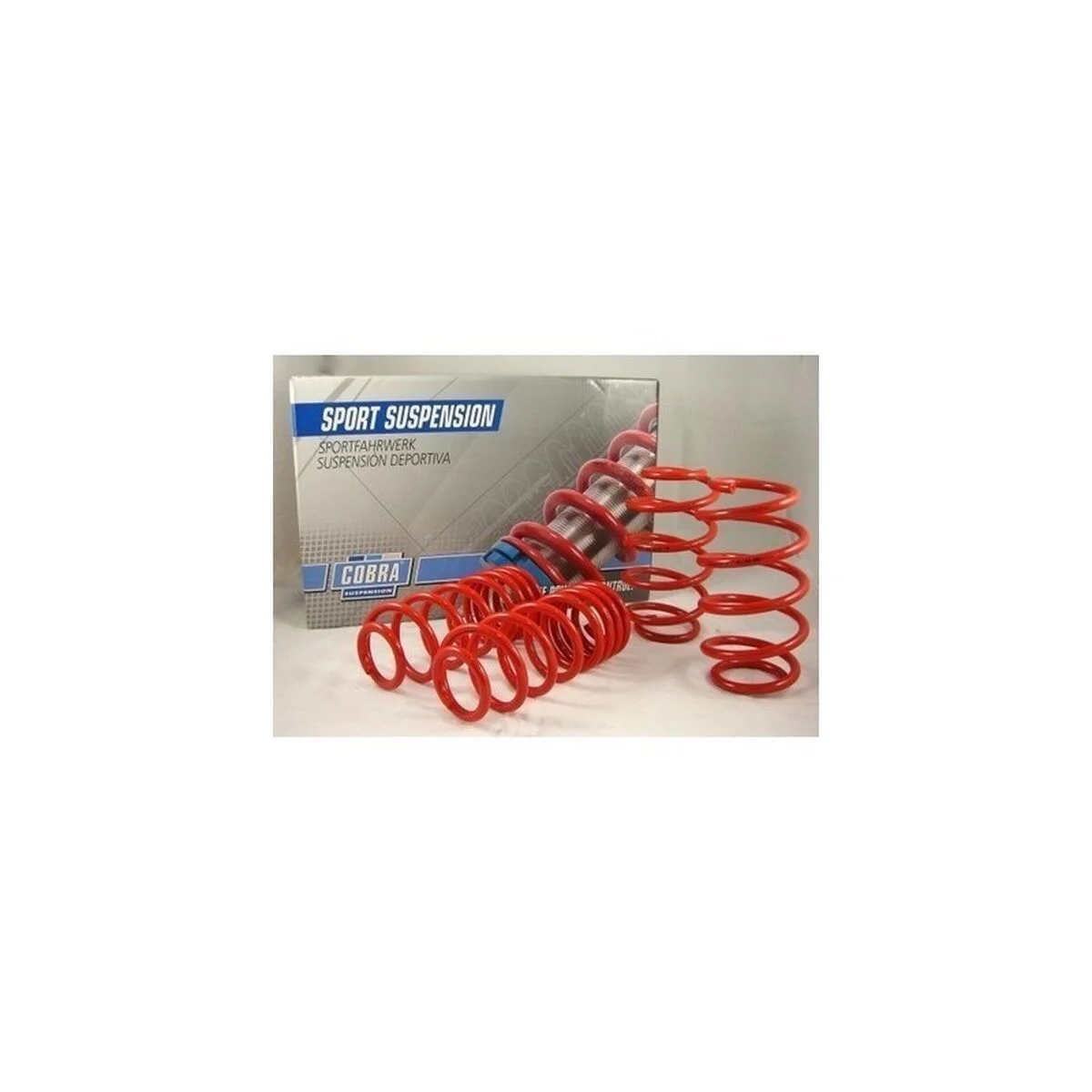 Kit de Muelles Cobra COB078243
