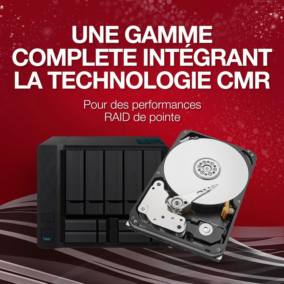 Disco Duro Seagate ST24000NT002 24 TB 3,5"