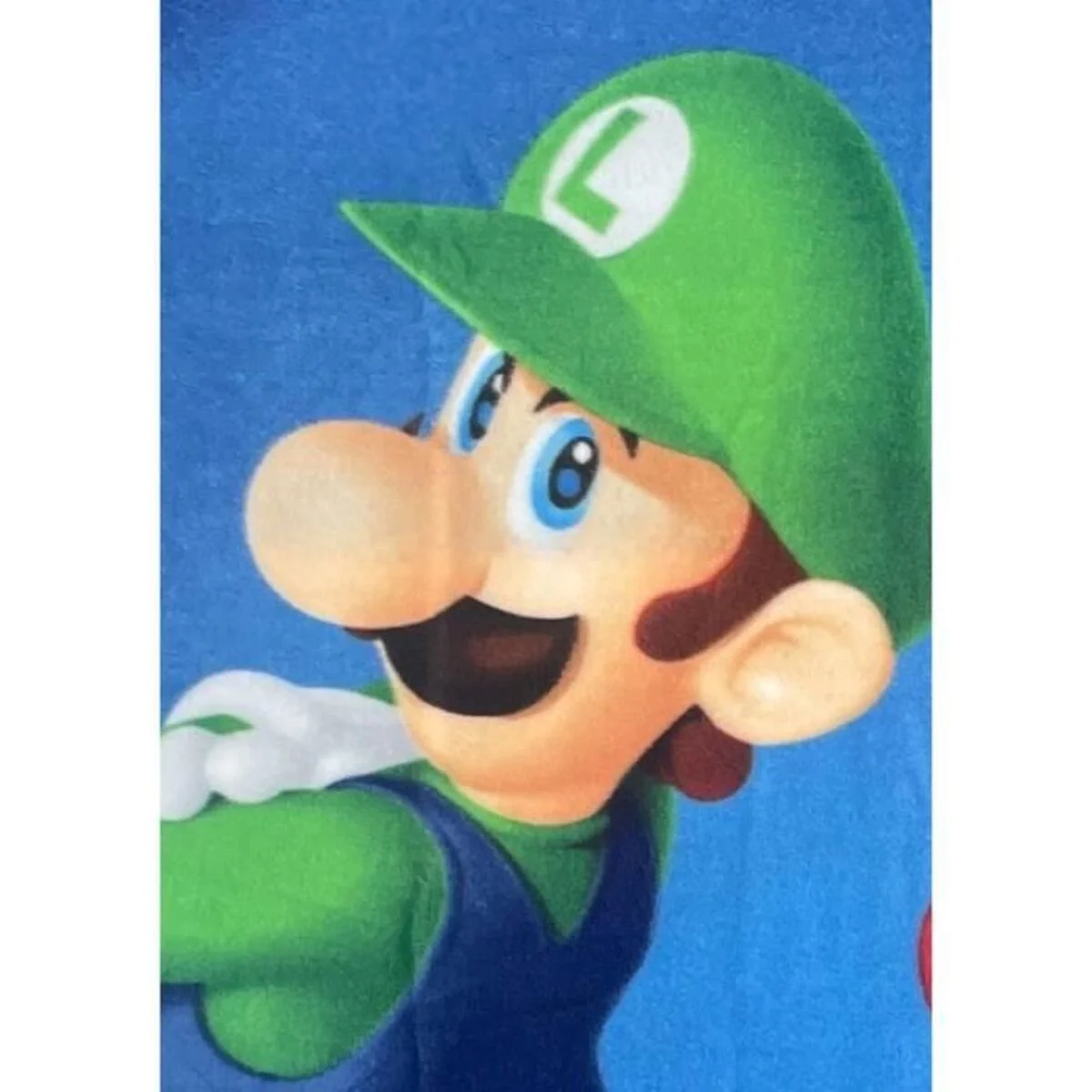 Manta Mario Bros 25 x 7 x 13 cm Multicolor Animales